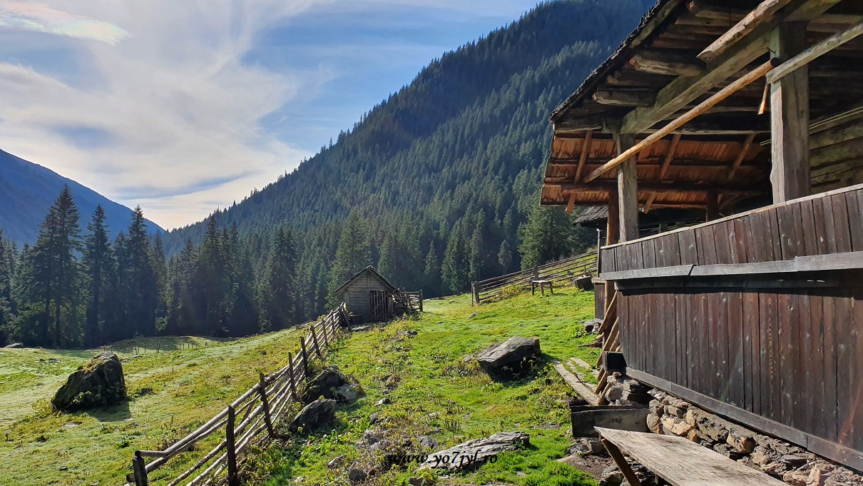 În locurile pe unde toamna nu a trecut