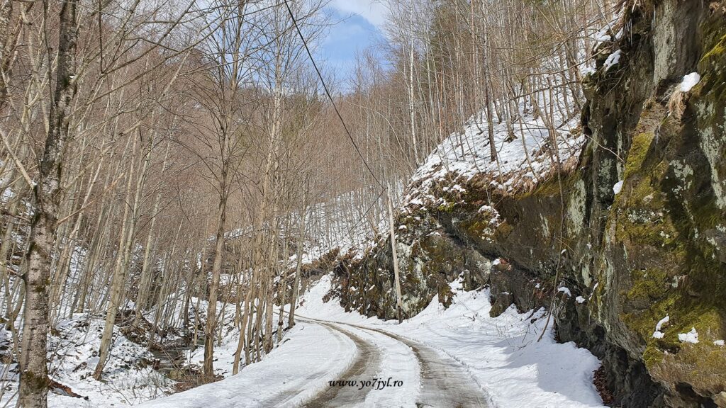 Drumeție-prin-zăpada-din-Masivul-Cozia