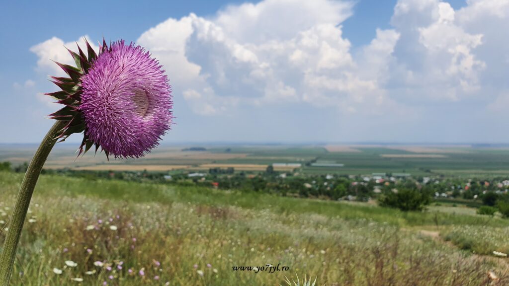 Vacanță prin România - O zi în Delta Dunării și Dobrogea