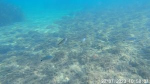 Insula Samothraki – O piramidă vulcanică din Marea Egee